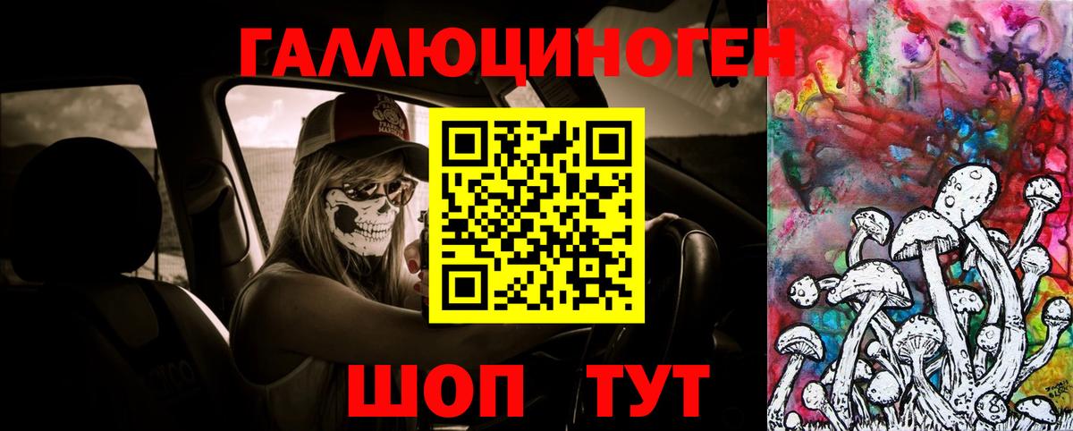 Миллерово  Галлюциногенные грибы Cubensis  Вход с VPN 